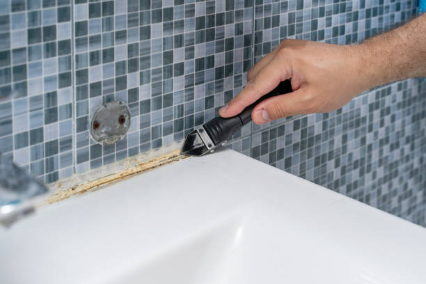 Best Residential Mold Removal  in Centerville, UT